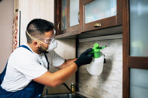Best Emergency Pest Control  in East Helena, MT