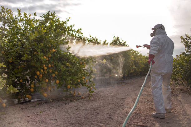 East Helena, MT Pest Control Company