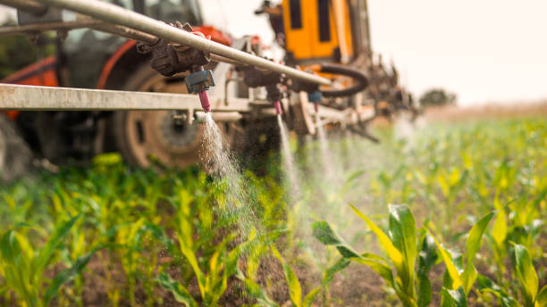 Best Pest Control Near Me  in East Helena, MT